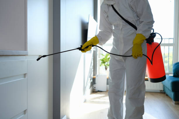 Attic Mold Removal in Hillsdale, NJ