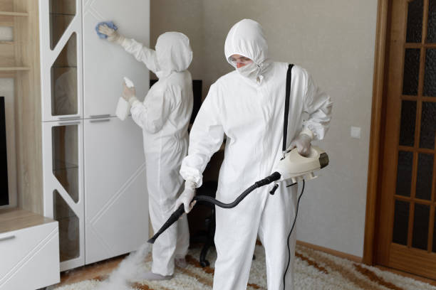 Best Crawl Space Mold Removal  in Hillsdale, NJ